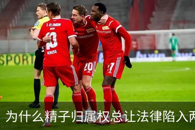为什么精子归属权总让法律陷入两难境地