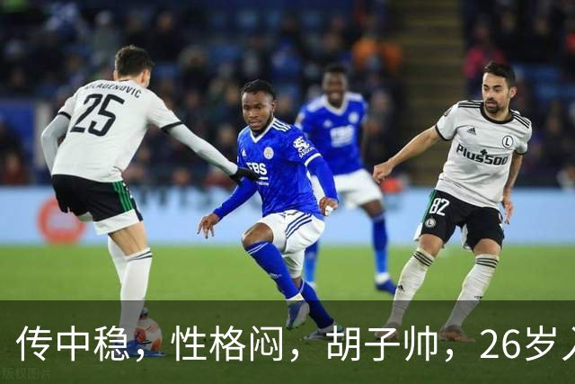 传中稳，性格闷，胡子帅，26岁入选意大利国家队，34岁踢意乙