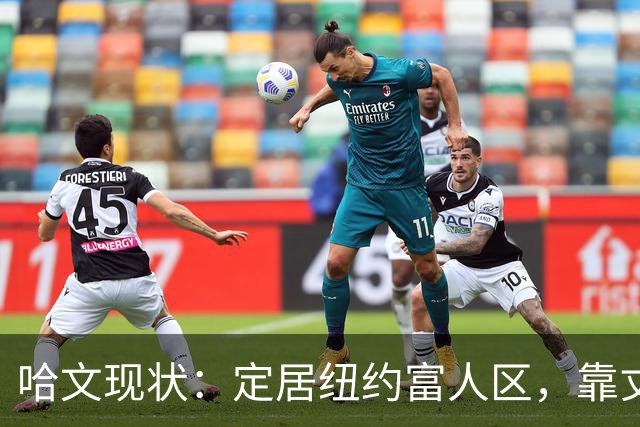 哈文现状：定居纽约富人区，靠丈夫遗产和女儿很潇洒，没有再婚