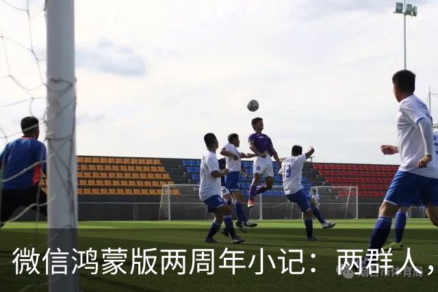 微信鸿蒙版两周年小记：两群人，一件难事，从陌生到并肩的700天