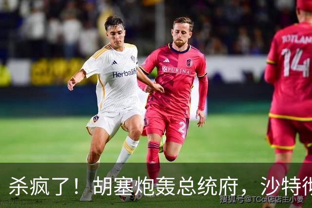 杀疯了！胡塞炮轰总统府，沙特彻底慌了！