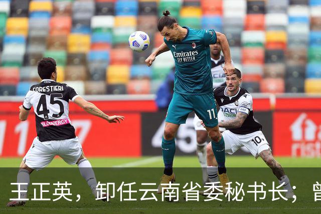 王正英，卸任云南省委秘书长；曾任云南省发改委副主任，云南省能源局局长等职