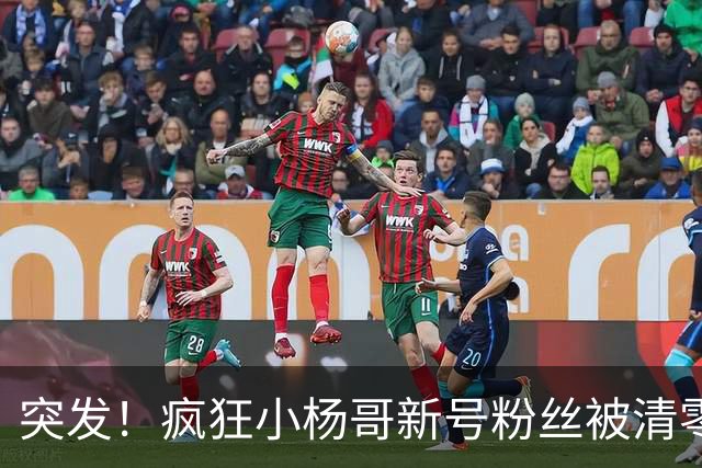 突发！疯狂小杨哥新号粉丝被清零!