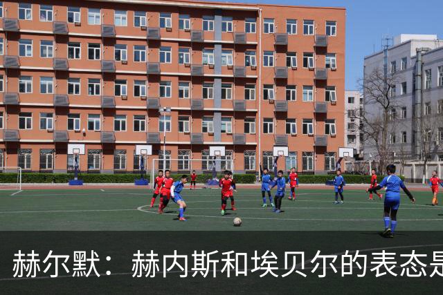 赫尔默：赫内斯和埃贝尔的表态是在警告卡尔，他需要改进
